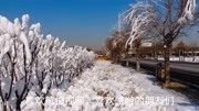 河北古城正定南门大花篮的雪景,给大家送上2020新年祝福旅游完整版视频在线观看爱奇艺