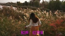 歌曲谱梨花飞情人泪_梨花飞情人泪歌曲图片(3)