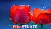 一首情歌《今生今世在一起》音乐背景音乐视频音乐爱奇艺