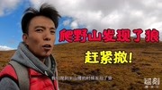 自驾旅行甘孜石渠,小两口爬野山发现远处有狼,吓得赶紧掉头就跑旅游完整版视频在线观看爱奇艺