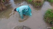 下雨天野外割牛草,没想到还有这么大收获生活完整版视频在线观看爱奇艺