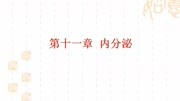 《生理学》第十一章 内分泌(一)知识名师课堂爱奇艺