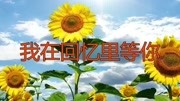 一首《我在回忆里等你》把你深藏在心里满满的感动,意境优美.音乐背景音乐视频音乐爱奇艺