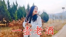 一壶老酒歌曲简谱_一壶老酒歌谱(2)