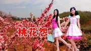 桃花红歌《桃花怨》— 海先森:歌声让人深深陶醉音乐背景音乐视频音乐爱奇艺