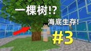 我的世界:开局一棵树如何在全是海的世界生存?第三期,水下呼吸游戏完整版视频在线观看爱奇艺