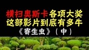 一次看爽,扁豆陪你细刷全片生活完整版视频在线观看爱奇艺