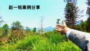 天然穴地,逆水局,如若贪峰失向,护砂就无情,水法成反局生活完整版视频在线观看爱奇艺