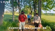 女婿提出要干农活,丈母娘很惊讶,女婿:每一次来都干活我习惯了生活完整版视频在线观看爱奇艺