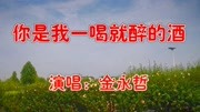 金永哲一首《你是我一喝就醉的酒》旋律动听,让人回味无穷!音乐背景音乐视频音乐爱奇艺