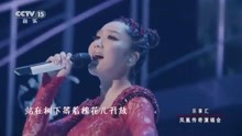 高山槐花开曲谱_槐花几时开简谱