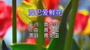 黄龙国  泥巴爱鲜花 KTV版音乐背景音乐视频音乐爱奇艺