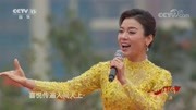 [唱响新时代]歌曲《共度好时光》演唱:陈思思音乐背景音乐视频音乐爱奇艺