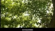 山东轻工职业学院计算机应用技术专业(校企合作)人工智能方向招生知识名师课堂爱奇艺