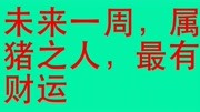 未来一周,属猪之人,最有财运生活完整版视频在线观看爱奇艺