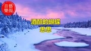 酒醉的蝴蝶 好听的女生原版 14亿点击量 抖音神曲 很火的网络歌曲音乐背景音乐视频音乐爱奇艺