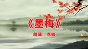 读诗181 《墨梅》 朗诵:克敏原创完整版视频在线观看爱奇艺