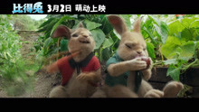 7.1分真人动画：比得兔 Peter Rabbit (2018)中文预告1080P
