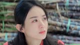 理想照耀中国，只要不放弃办法总比困难多