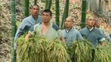 独立连：鬼子把小和尚当活靶，僧人们闻声而来，拿镰刀杀敌
