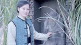 嫂子嫂子：为了不被逮捕，她竟跳下了山崖，她能否安然无恙