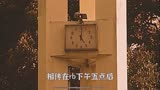《裂口女》不管是午夜还是大白天我们一样能让你毛骨悚然。胆小鬼，你敢看吗？