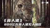 800公斤食人猪突袭村庄，疯狂吃人《食人猪》