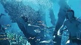 《阿凡达2》新预告信息量太大，水下场景震撼，有地区已开启预售