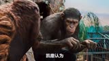 猩球崛起：黑猩猩组建军团与人类开战，造成城市一片混乱