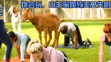 《紧急呼救》城里人真会玩，山羊瑜伽致人失明