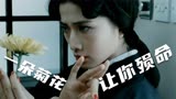 驱魔警察：九叔大战日本九菊教派，道术与妖术终极对决