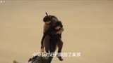 《终极笔记》盗墓笔记的故事是现实还是虚幻