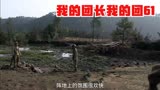 我的团长我的团，61