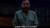 《人蛇大战》，工地挖出几万条蛇，老板下令全部捕杀结果遭到报复