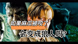 在《哈利波特》的设定中，如果麻瓜被狼人咬了，会转变成狼人吗？