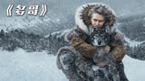 冒险片《多哥》雪橇犬为了救人，连续跑300公里，成为最英勇动物