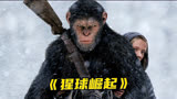 奇幻电影《猩球崛起》：猩猩为了保护老爷爷，被关进了动物收留所