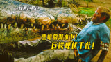 《惊世巨鳄2》黑湖下惊现巨鳄巢穴！倒霉劫匪意外坠机，巨鳄袭来