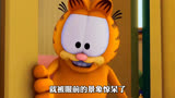  加菲猫的幸福生活 -猫鼠游戏