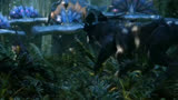 《阿凡达》男子在丛林中只在遇见外星黑狼，险丢了性命！