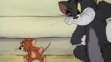 ##猫和老鼠#搞笑动画#童年#汤姆猫