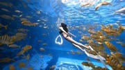 「水下摄影」比基尼美女与大自然融为一体