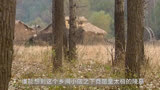 觐天宝匣