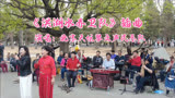 电影《洪湖赤卫队》插曲，北京天坛琴之声民乐队演唱，优美动听