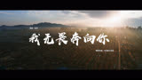 《警察荣誉》插曲MV：-陆虎