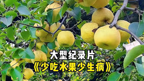 大型紀(jì)錄片《少吃水果少生病》