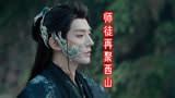 仙台有树：师徒再聚西山，薛冉冉敬师茶难跪