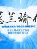 蕙兰瑜伽中级系列
