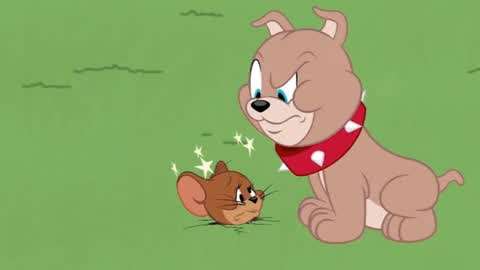 猫和老鼠搞笑动画集锦  :调皮小狗欺负汤姆杰瑞 实在受不了