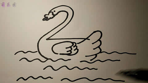 大白鹅怎么画游泳图片